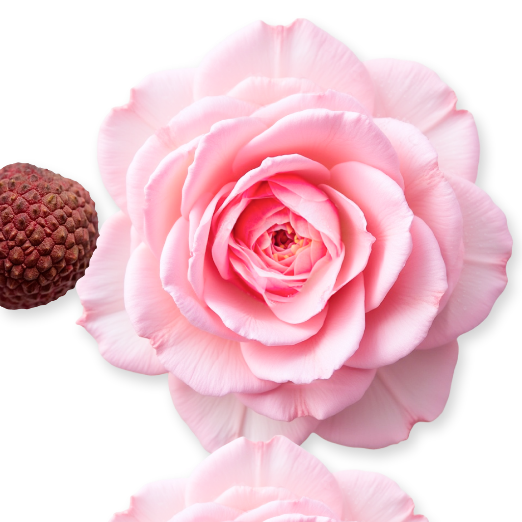 Delina Hair Perfume