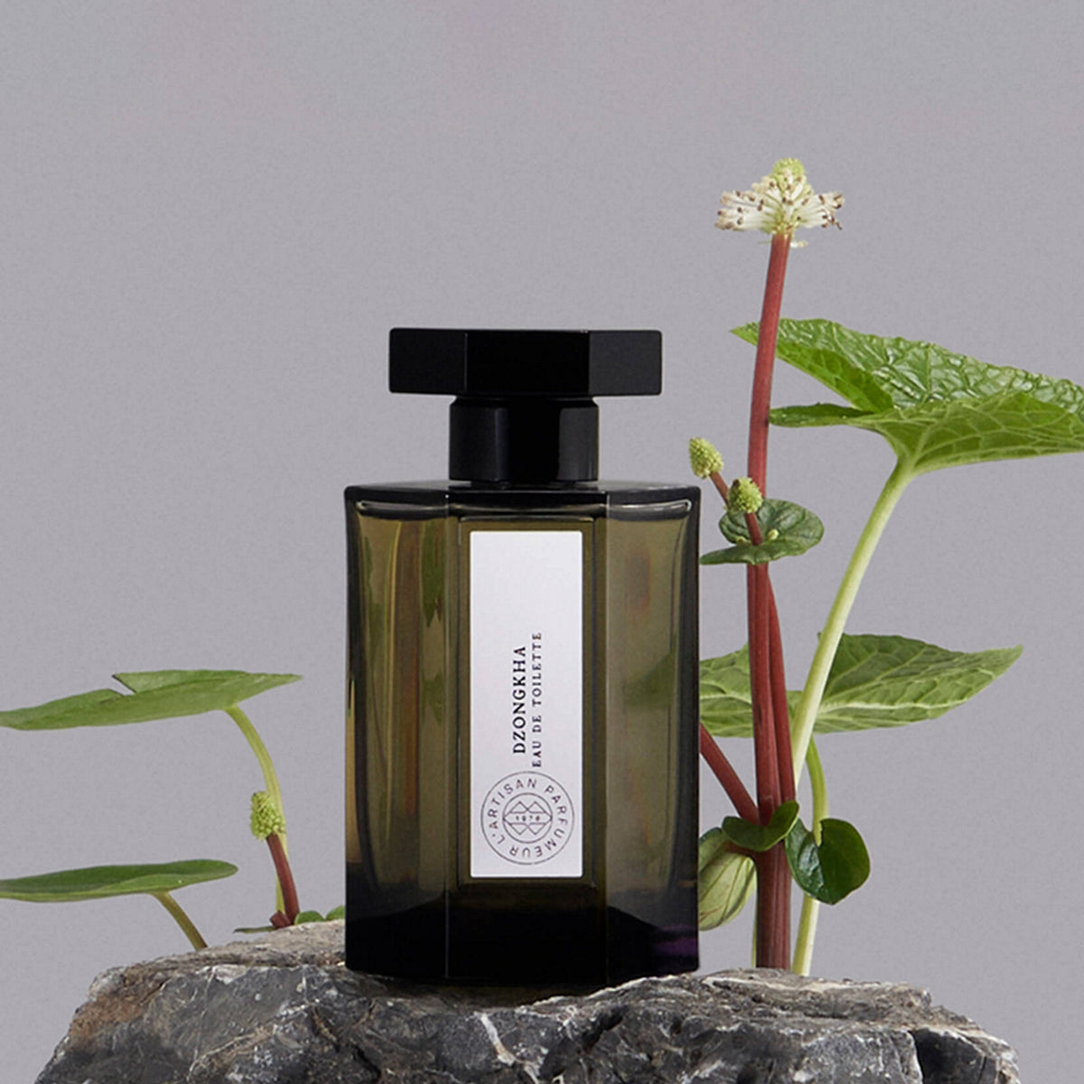EDT DZONGKHA 100 ML