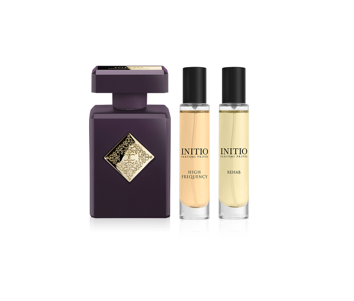 INITIO HIGH FREQUENCY X REHAB - image 1