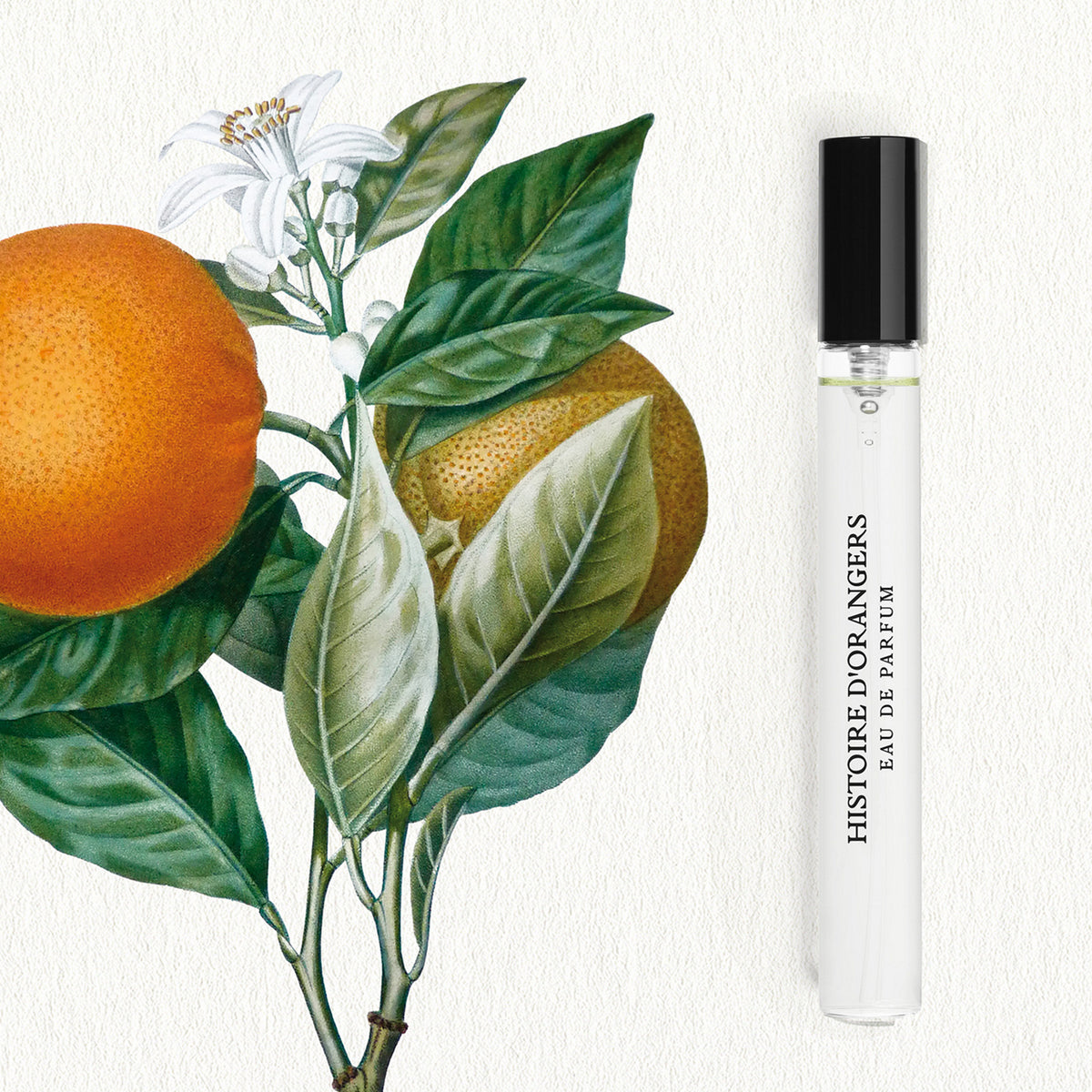 HISTOIRE D'ORANG EDP10ML-LES CUIRS RPK21