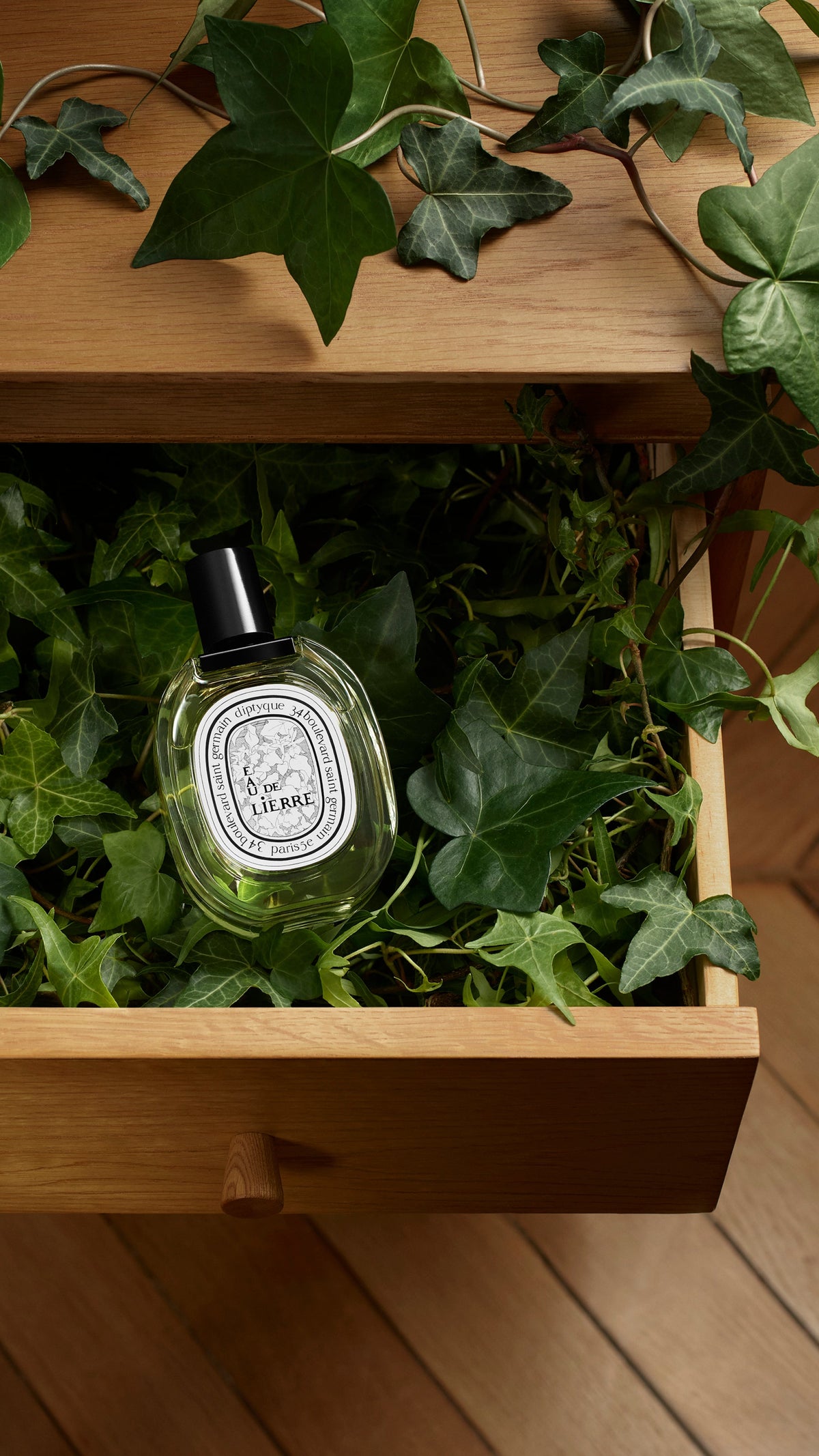 Diptyque Eau de Lierre - Eau de toilette - 100 ml