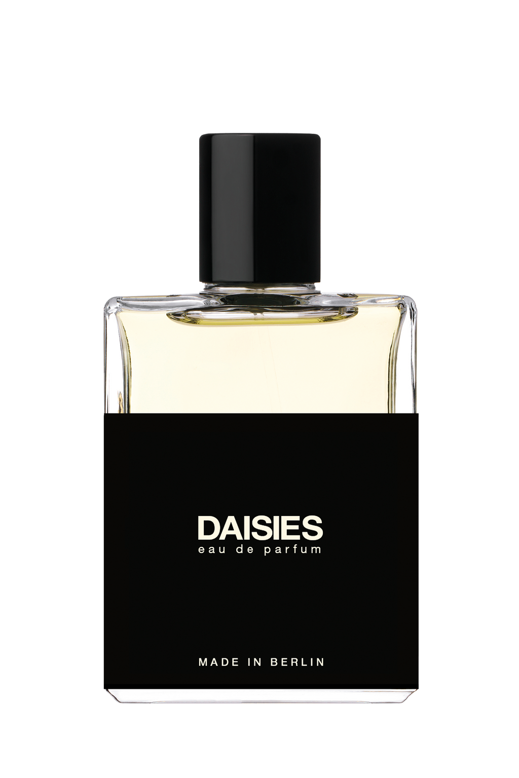 MOTH and RABBIT No3 - DAISIES