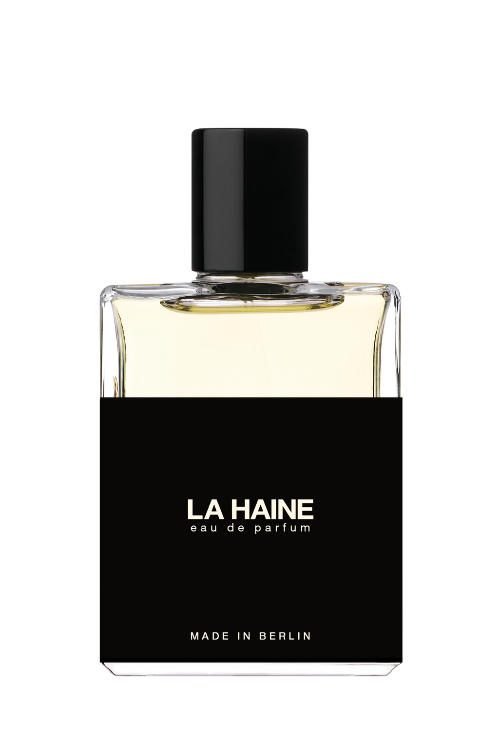 MOTH and RABBIT No5 - LA HAINE