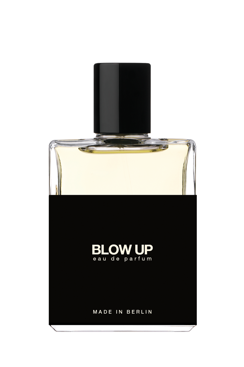 MOTH and RABBIT No6 - BLOW UP