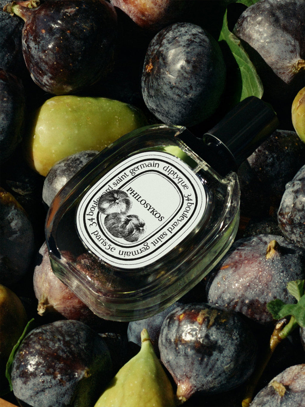 Diptyque Philosykos - Eau de toilette - 50 ml