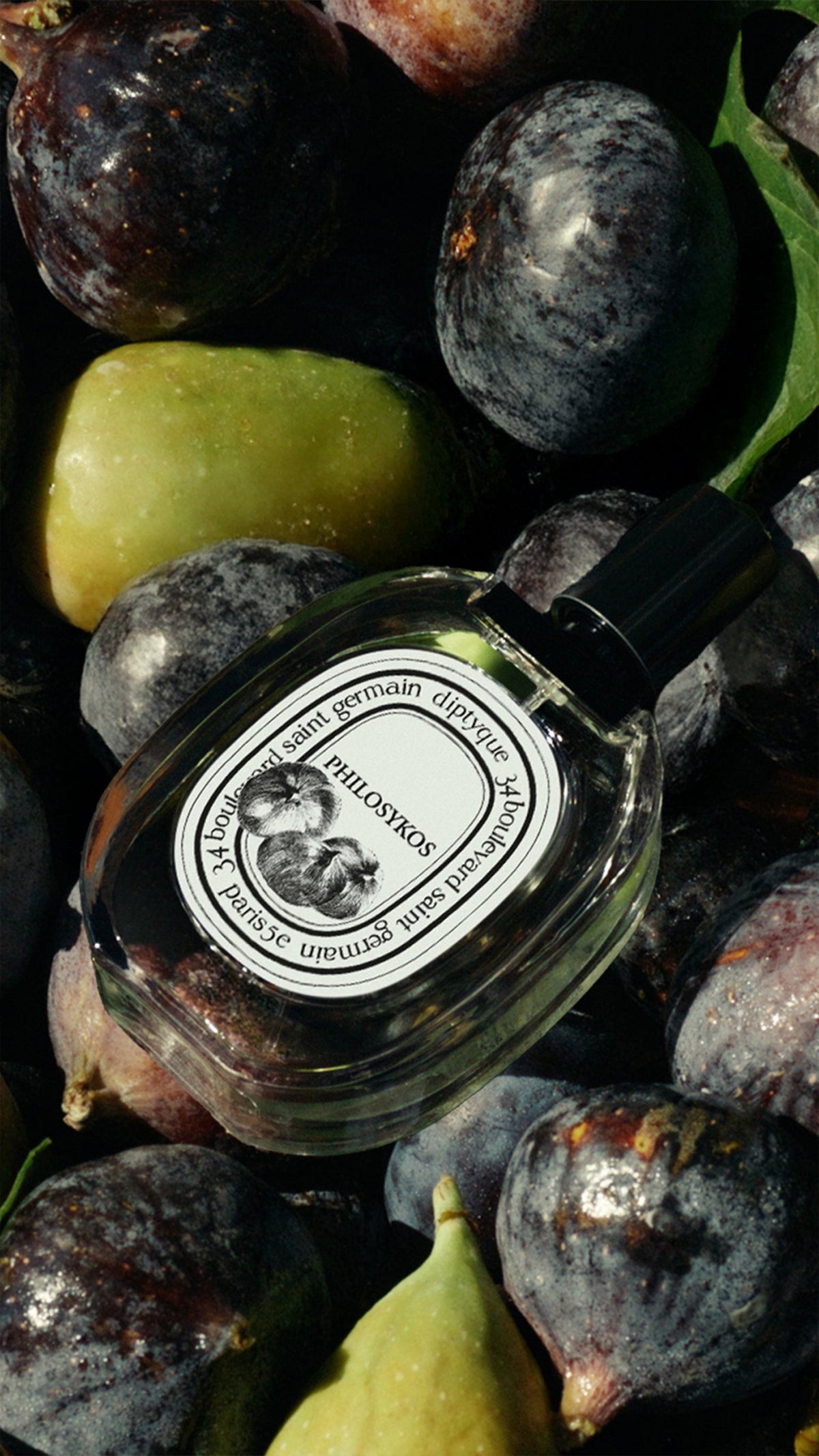 Diptyque Philosykos - Eau de toilette - 50 ml