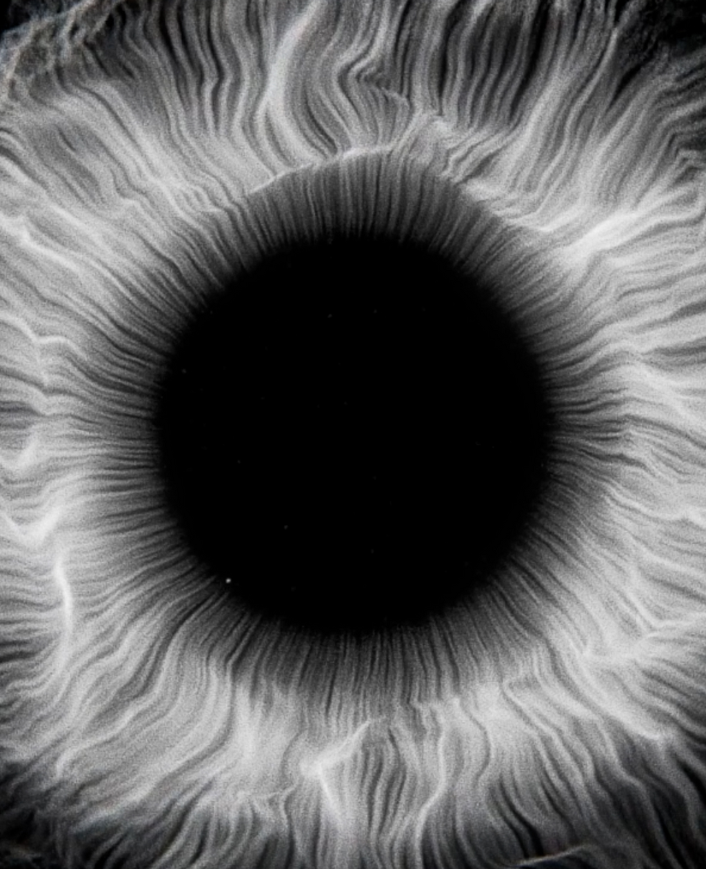 INITIO POWER SELF - image 5