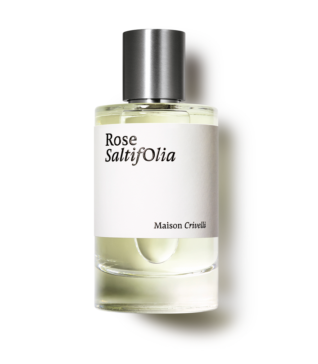 Maison Crivelli Rose Saltifolia