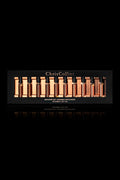 Chris Collins DISCOVERY SET 10 PIECE