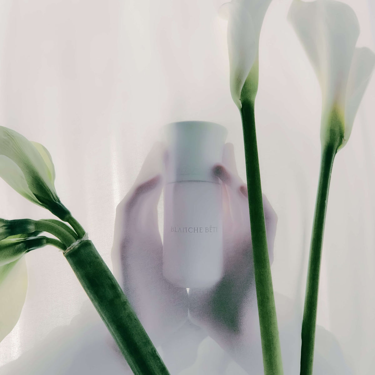 Liquides Imaginaires Blanche Bête Limited Edition