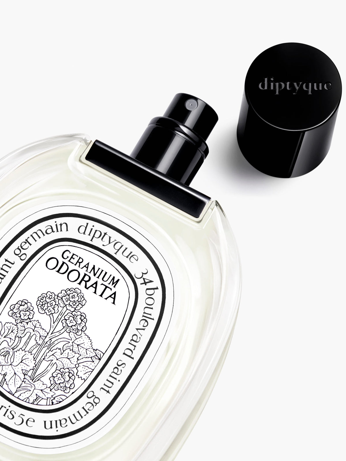 Diptyque Geranium Odorata - Eau de toilette - 100 ml