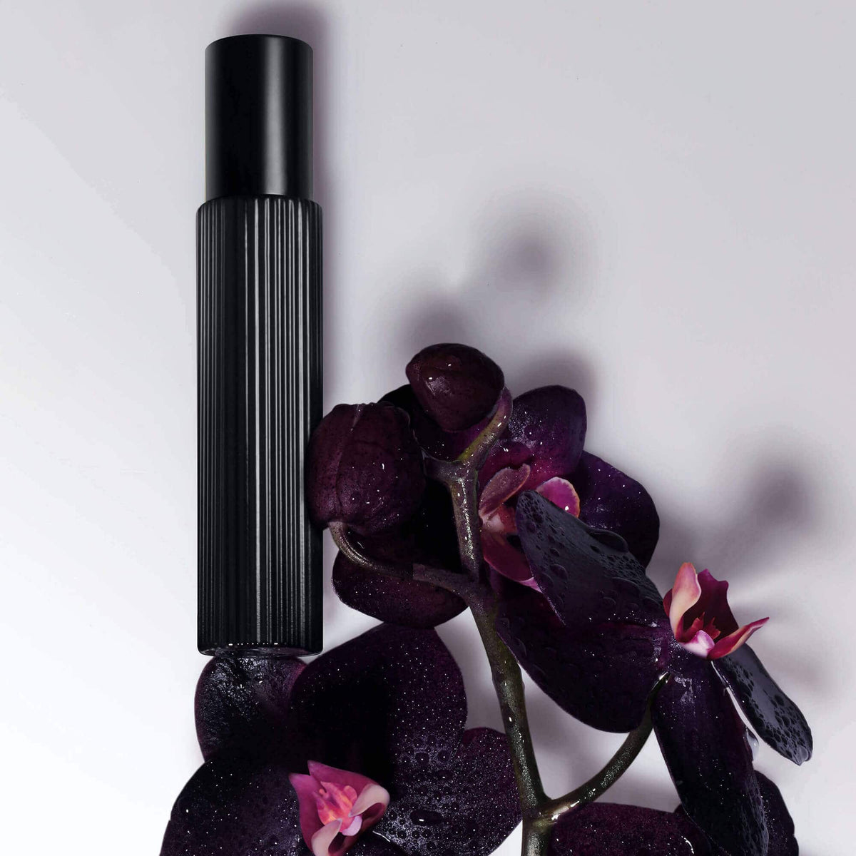 TOM FORD Black Orchid Eau de Parfum